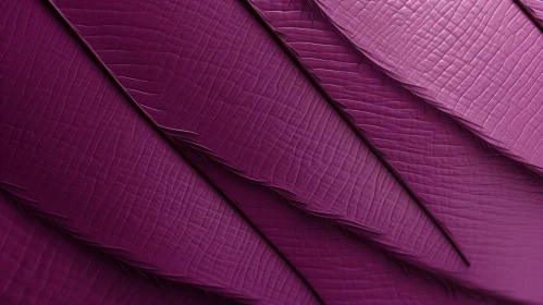 Purple Feathers Close-Up: Detailed and Shiny Pattern