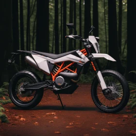 White and Orange Motorcycle in the Enchanting Forest