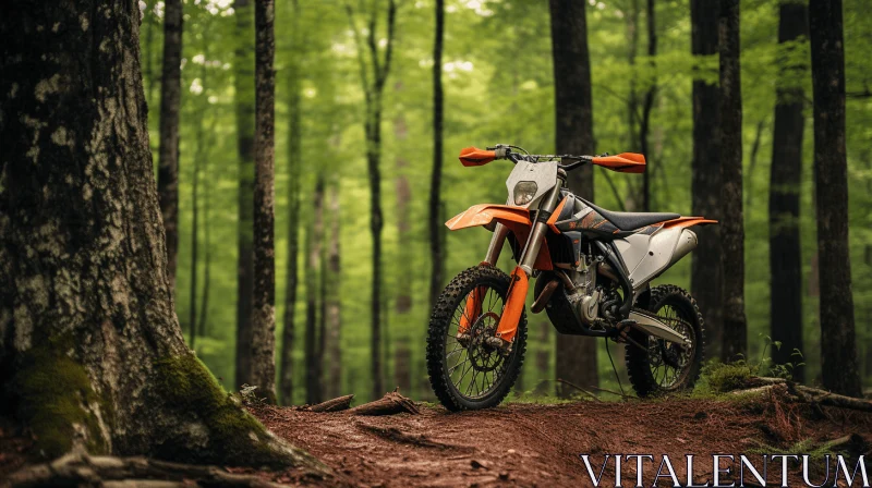 Tranquil Forest Scene with a Striking Dirt Bike | Nature Photography AI Image