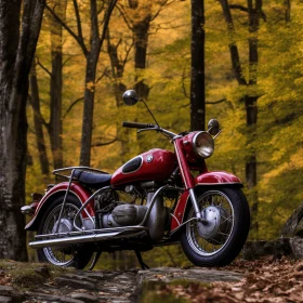 Red Motorcycle Parked on Rock in Forest | Timeless Elegance