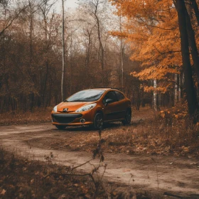 Vibrant Orange Car in Autumn Forest - Staged Photography