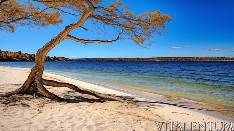 Tranquil Beach Scene with Trees - Australian Landscapes AI Image