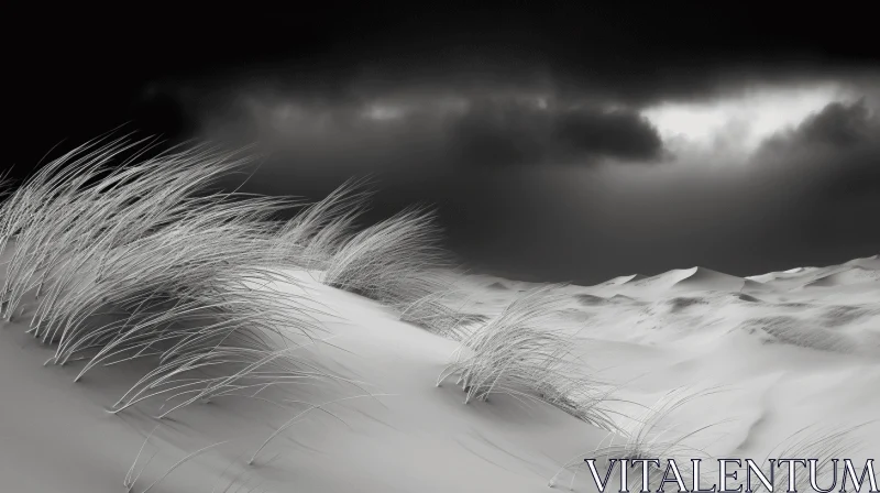 Monochrome Desert Scene: Grass, Sand and Storm AI Image