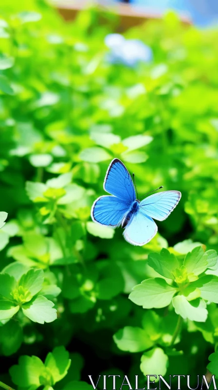 Blue Butterfly in Green Gardenscape - Cross Processing Style AI Image