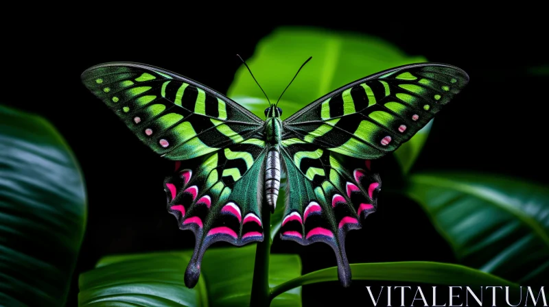 Stunning Green and Pink Butterfly on Leaf AI Image