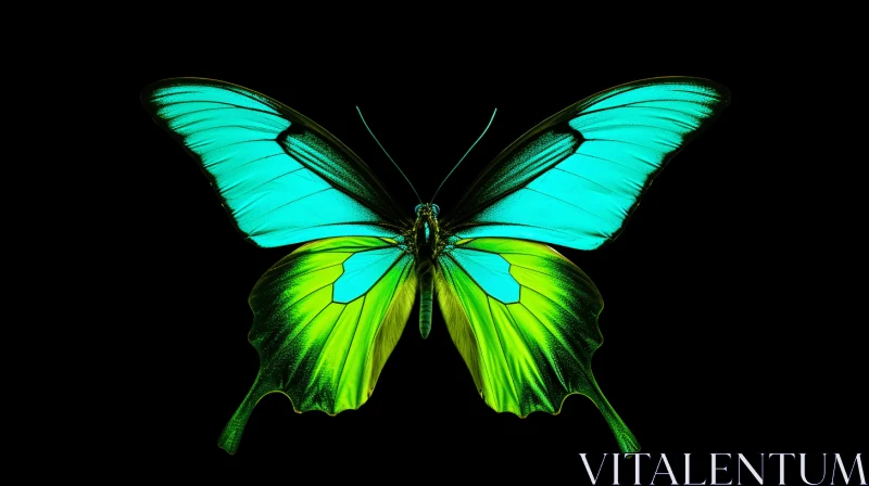 Neon-Lit Green and Blue Butterfly on Black Background AI Image