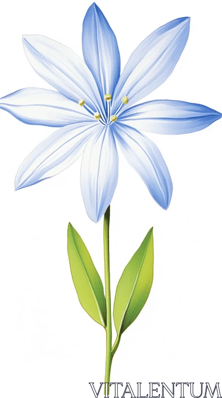 Blue Flower on White Background - A Study in Light and Simplicity AI Image