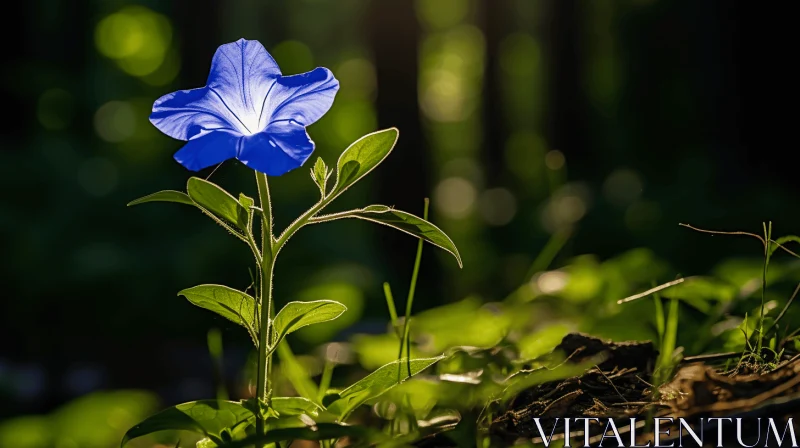 Sun-Kissed Blue Flower in the Wilderness AI Image