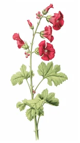 Victorian-Inspired Red Flower Illustration