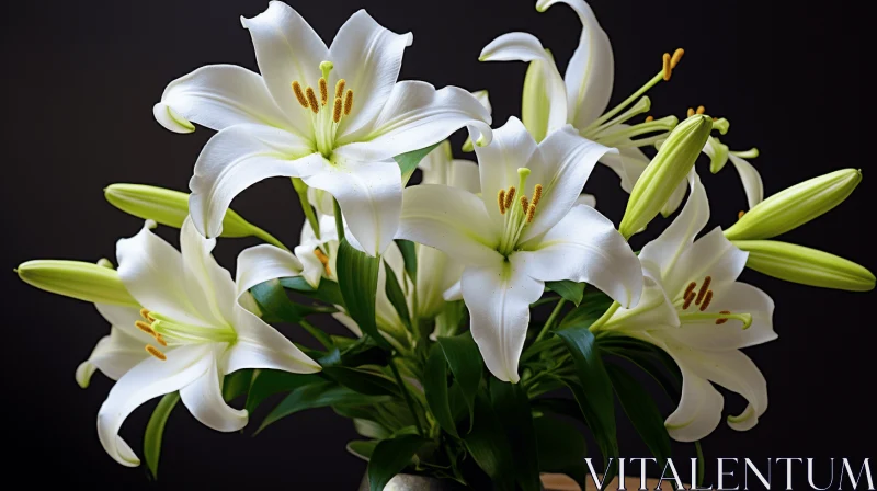 Exquisite White Lilies in Vase Against Dark Background AI Image