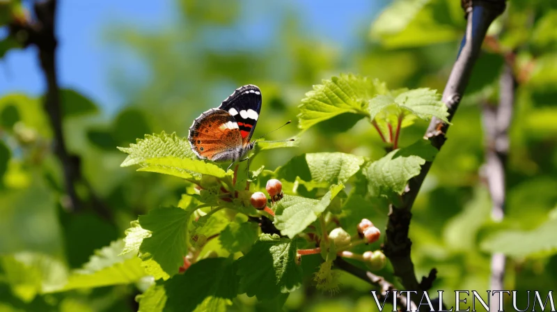 Serene Norwegian Nature: Butterfly on a Leafy Branch AI Image