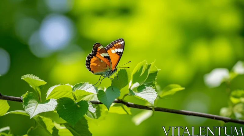 Tiger-Orange Butterfly Amidst Green Foliage - A Nature's Art AI Image