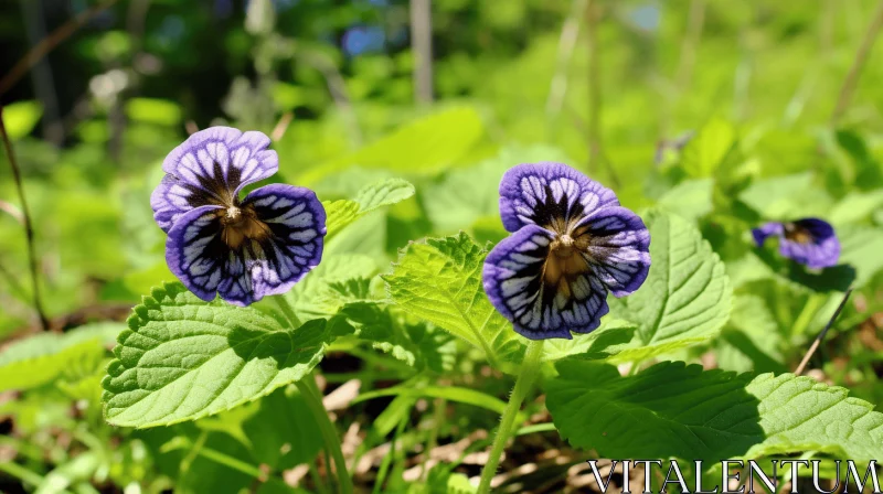 Blue Pansies Amidst Nature - A Study in Symmetrical Asymmetry AI Image
