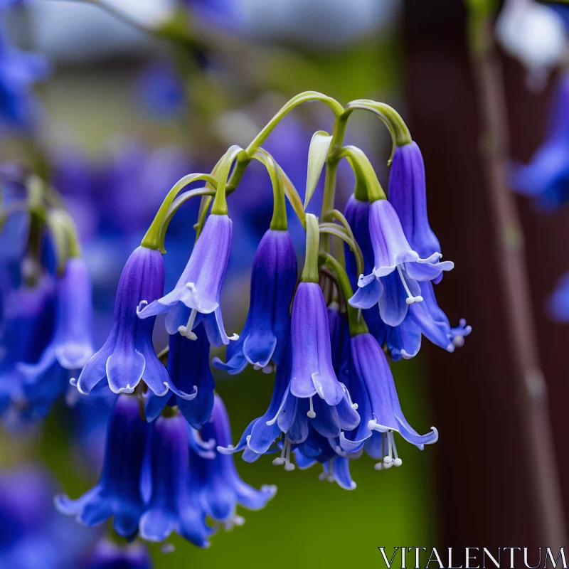 Enthralling Blue Flowers on Tree Branch - Traditional British Landscapes AI Image
