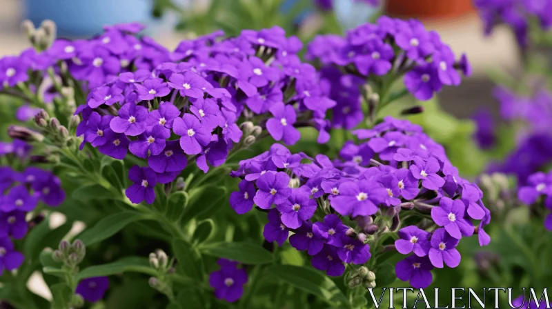 Radiant Clusters of Purple Flowers in Dark Azure AI Image