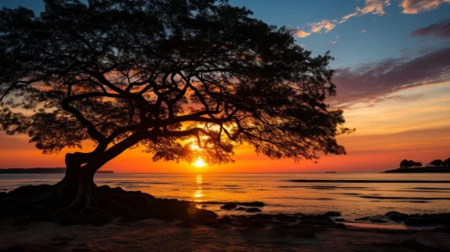 Golden Sunset Tree on Beach