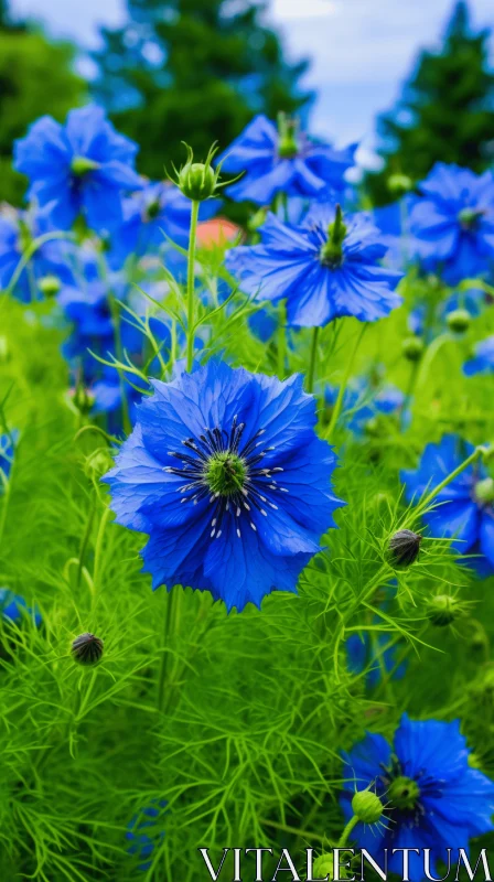 Mediterranean Blue Flowers in Summer Field - Harmonious Color Blend AI Image