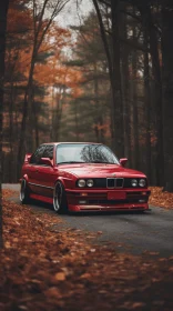 Enchanting Forest Drive: Captivating Red BMW Road Car Artwork