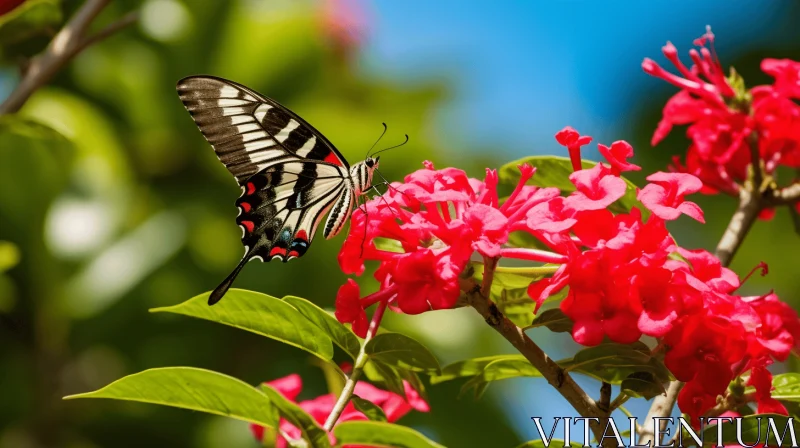 Butterfly Over Red Flowers - An Exotic Display of Vivid Colors and High Dynamic Range AI Image