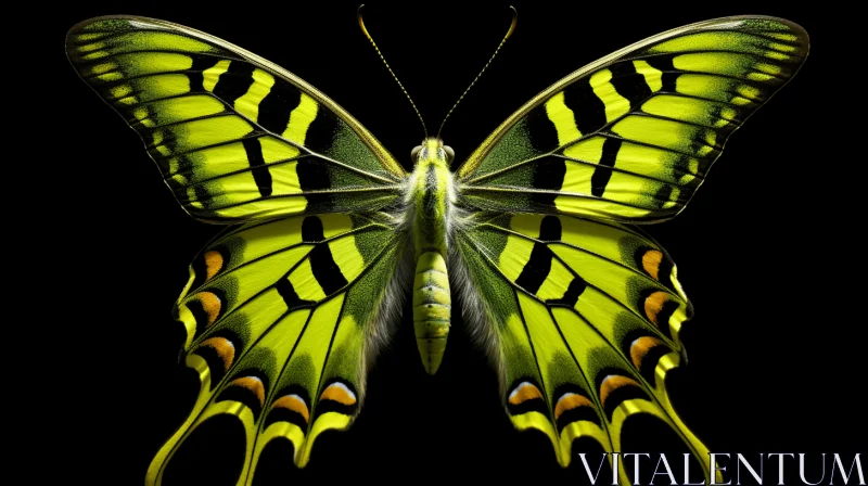 Surreal Yellow Butterfly Against Dark Background AI Image