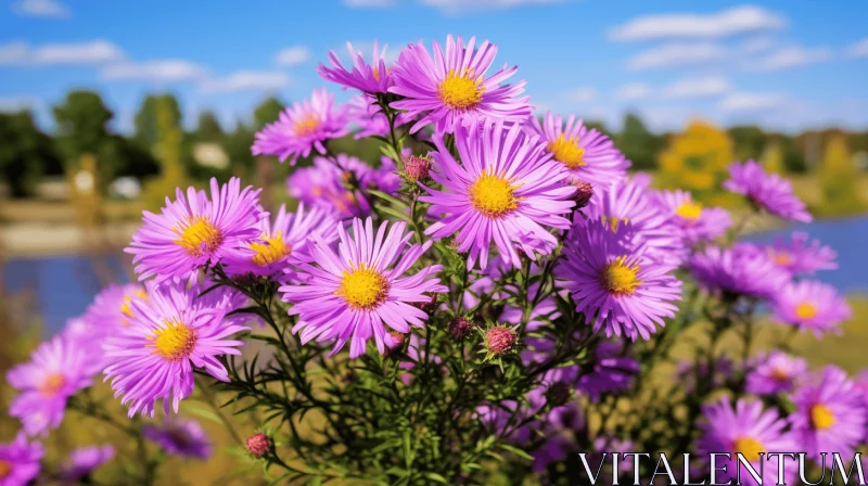 Purple Aster Flowers by the Lake - A Serene Nature Scene AI Image