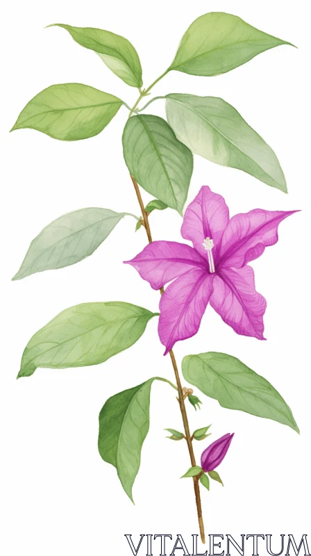 Enigmatic Tropics: Watercolor Illustration of a Purple Flower AI Image
