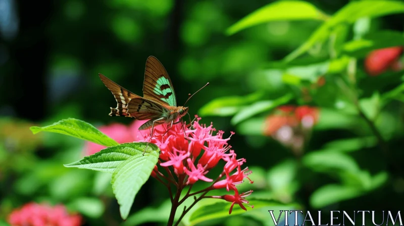 Green Butterfly on Red Flower: An Artistic Nature Capture AI Image