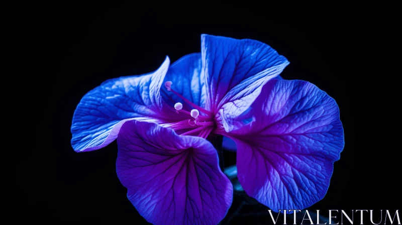 Blue and Purple Flower in Neon Light - A High Contrast Nature Capture AI Image