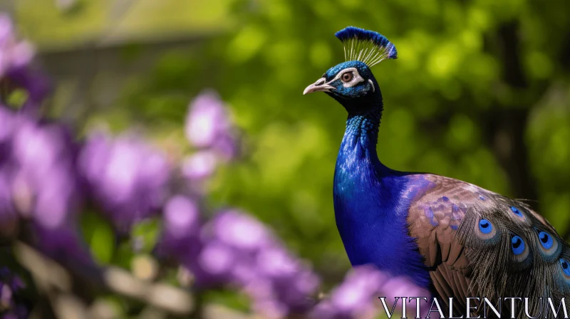 Majestic Peacock Amidst Purple Flowers - A Nature's Portraiture AI Image