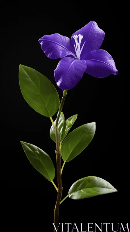 Photorealistic Purple Flower on Black Background AI Image