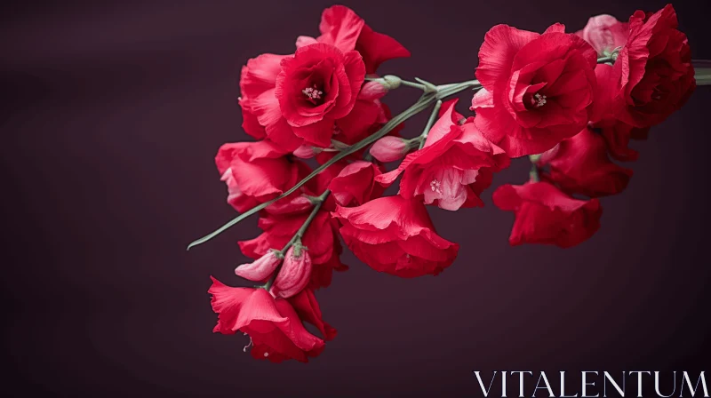 Romantic Red Flowers: Sculpted Impressionism on Dark Background AI Image
