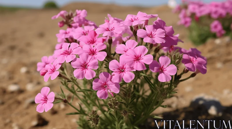 Iconic Prairiecore Pink Flowers in Dirt AI Image