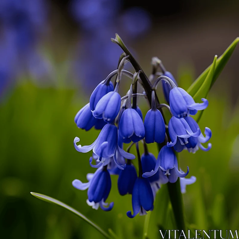 Atmospheric Woodland Imagery: Blue Flowers in Traditional British Landscapes AI Image
