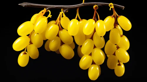 Captivating Image: Yellow Grapes on a Withered Branch