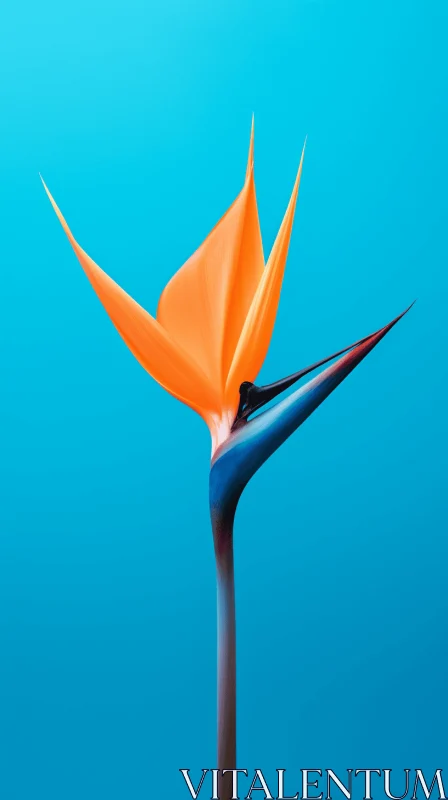 Surrealist Bird of Paradise Flower on Blue Background AI Image