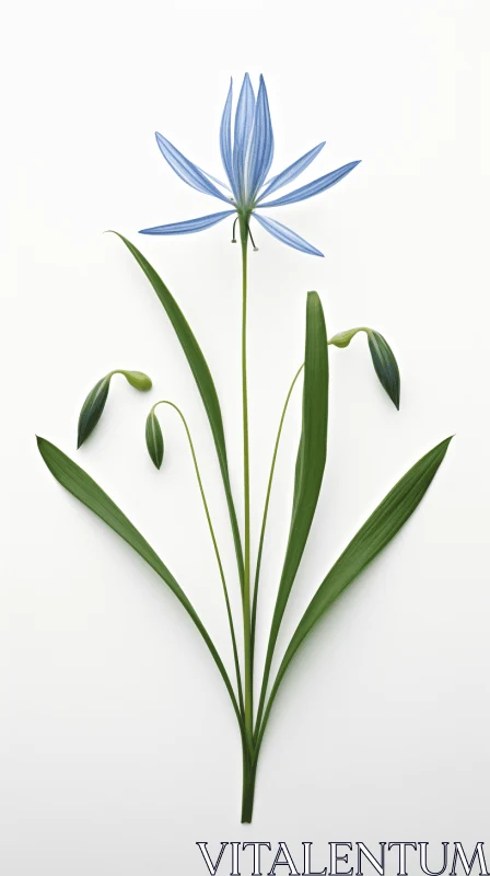 3D Minimalist Blue Flower - Serene Photorealistic Art AI Image