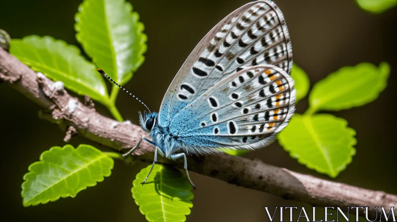 Blue Butterfly with Detailed Patterns on a Leafy Branch AI Image