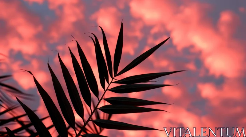 Silhouette of Palm Leaf at Vibrant Sunset Sky AI Image