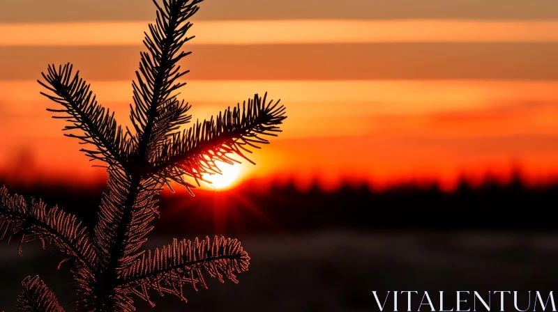Winter Sunset Forest Scene AI Image