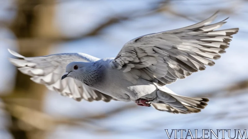 Graceful Pigeon Flight Close-Up AI Image