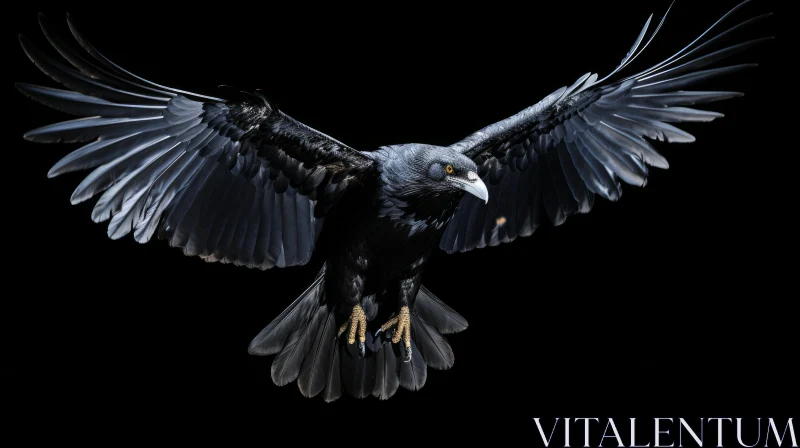 AI ART Striking Raven Flight Image