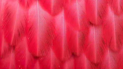 Intricate Red Feathers Close-Up | Glowing Effect