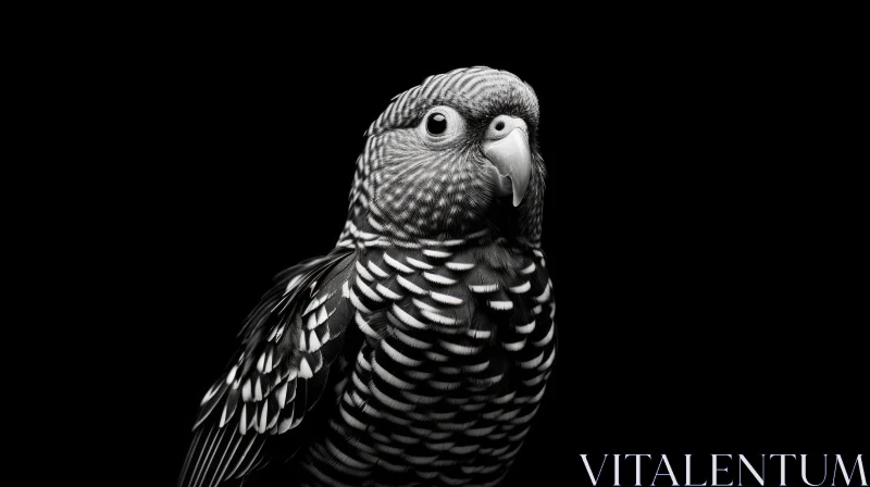 Wild Parrot Portrait in Black and White AI Image