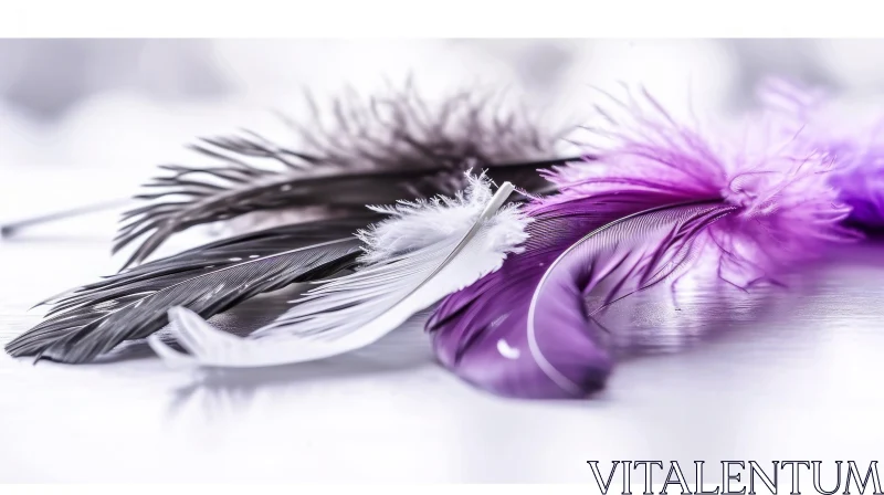 AI ART Ethereal Black, Purple, and White Feather Composition