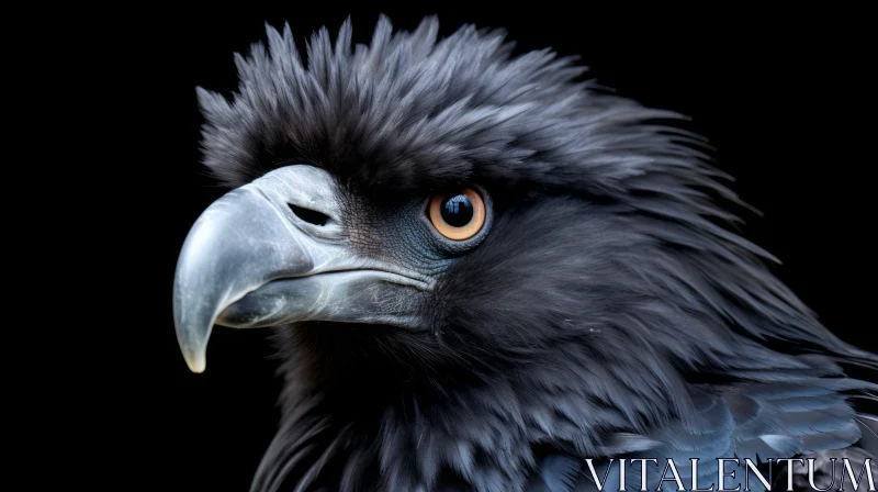 Majestic Eagle Close-Up | Wildlife Photography AI Image