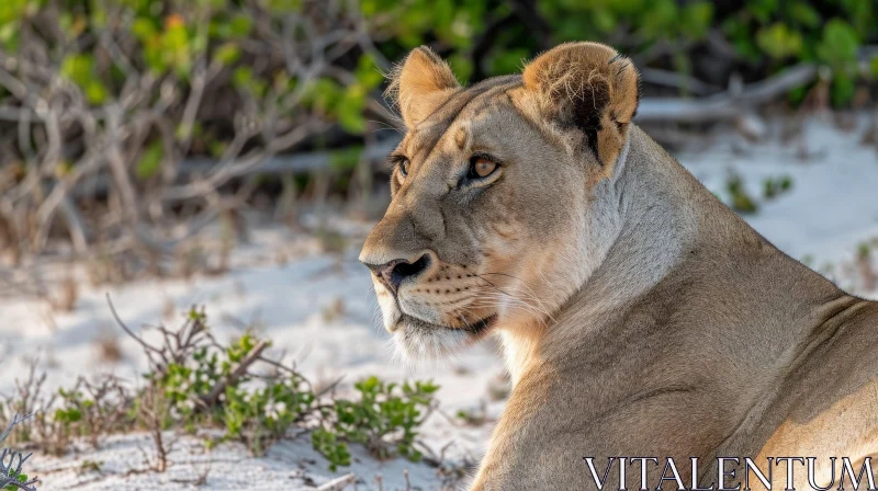 Majestic Lioness Portrait: Wildlife Photography Masterpiece AI Image