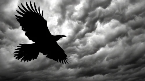 Majestic Raven in Stormy Sky - Nature's Power Captured