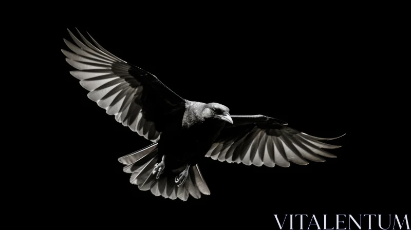 Intense Black Crow Flight Photo AI Image