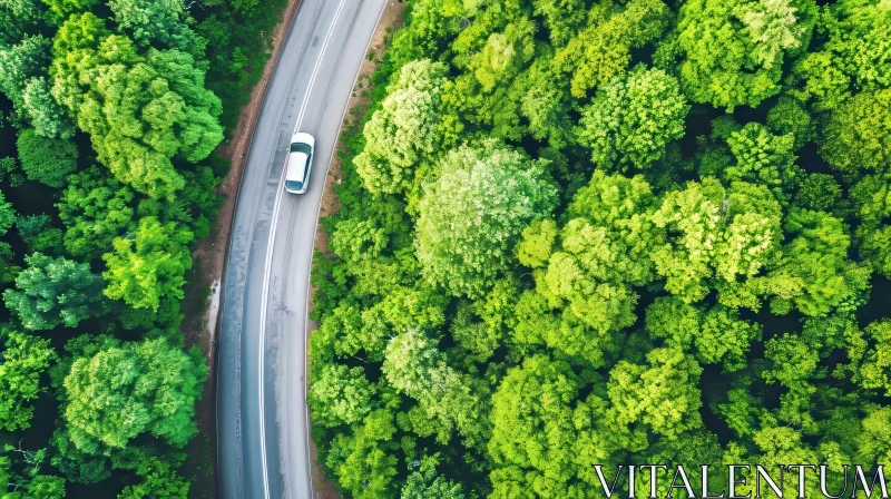 Serene Forest Road Aerial View AI Image