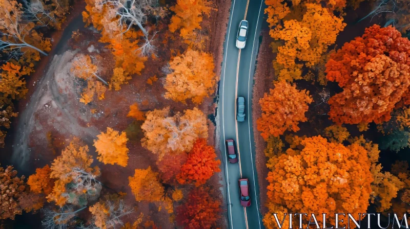 AI ART Vibrant Autumn Forest Road Aerial View